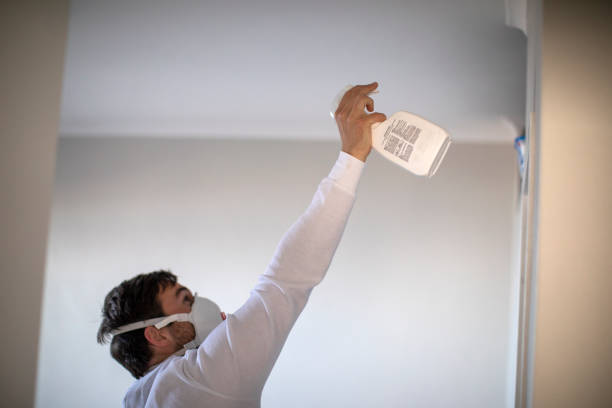 Best Toxic Mold Removal  in Lake Zurich, IL