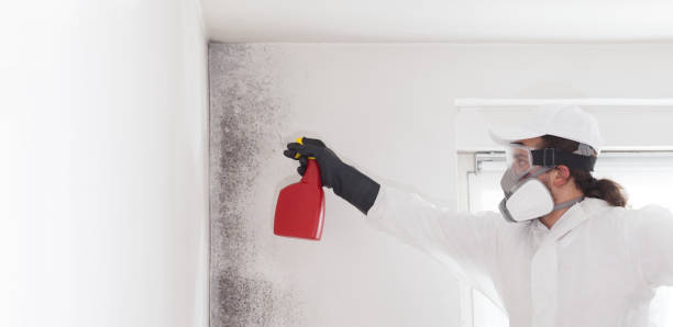 Best Crawl Space Mold Removal  in Lake Zurich, IL