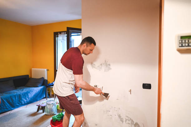Best Mold Remediation  in Lake Zurich, IL